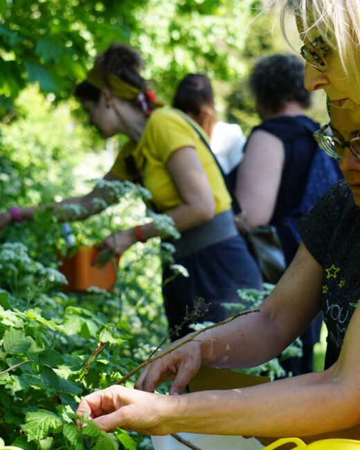 Workshops - Plukwandeling - samen plukken - Bloei & Groei