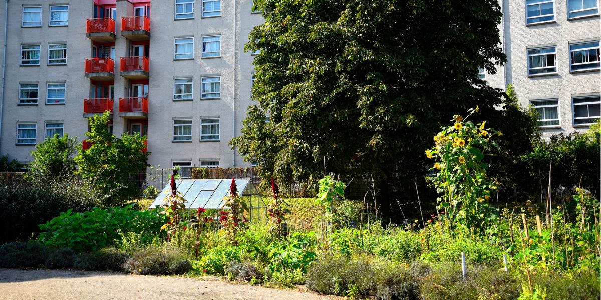 Venserpolder Venserpolder